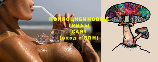 МДПВ Алексин