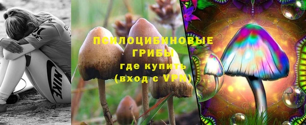 МДПВ Алексин